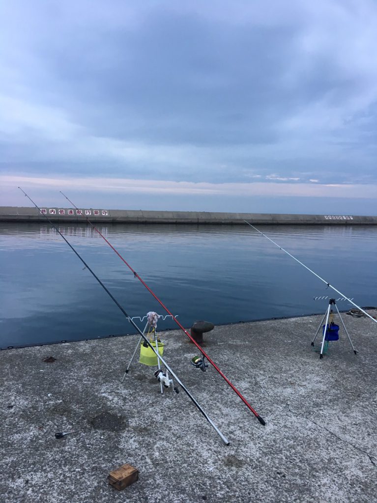 淡路島　釣り