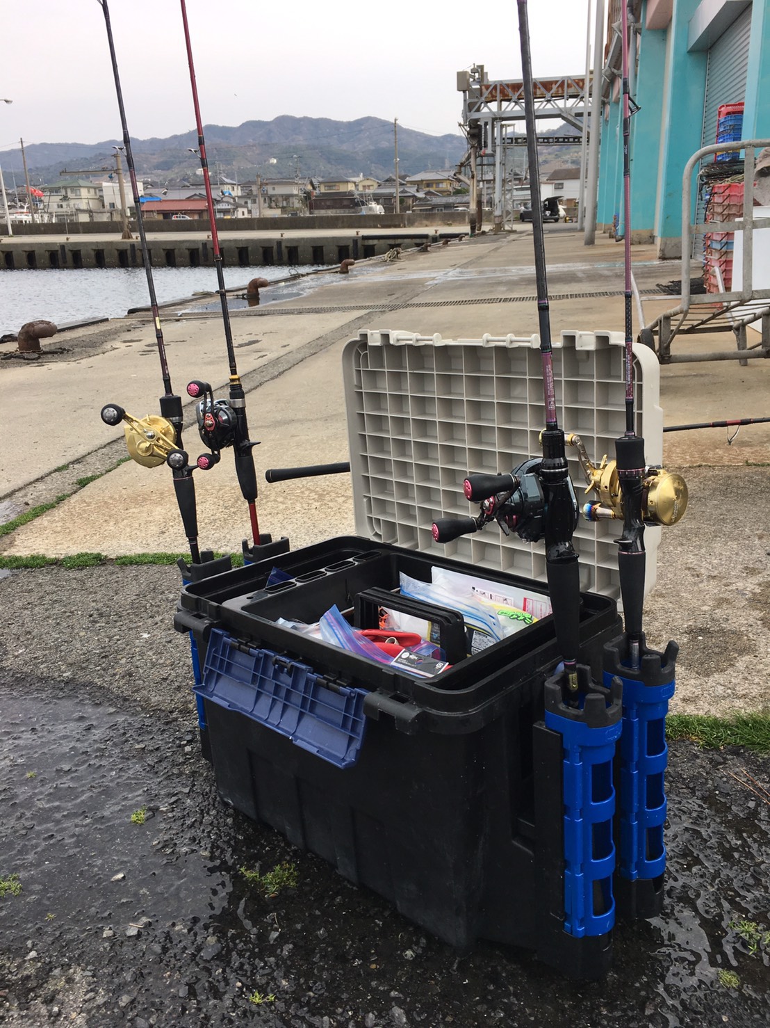 釣り部 和歌山加太の鯛を釣りに行きました シャルマンカレッジ
